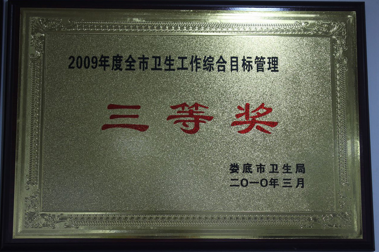 2009三等奖
